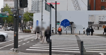 차 231대 중 114대가 '위반'... 헷갈리는 교차로 우회전