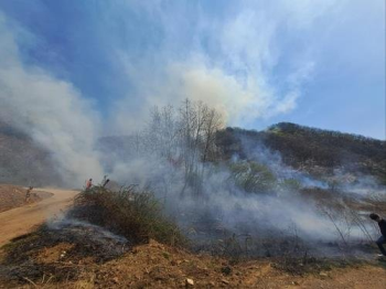 '축구장 35개 잿더미' 옥천 산불은 담뱃불 탓…실화범 검찰 넘길 예정