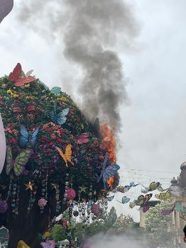 용인 에버랜드 내 화재...“15분 만에 초진, 인명 피해 확인 중“