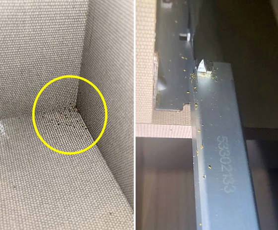 인천 송도신도시의 한 신축 아파트 일부 세대에서 '혹파리'로 추정되는 날벌레가 발견됐다는 민원이 잇따르고 있다. 〈사진=입주민 제공〉