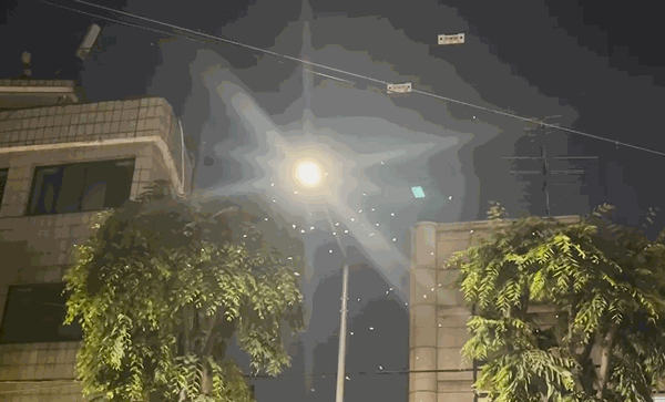 12일 밤 서울 성동구 성수동 가로등 주변에 하루살이가 떼를 지어 날아다니고 있다. 〈영상=한류경 기자〉