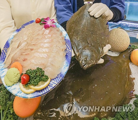 국민 횟감으로 불리는 광어(넙치)