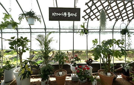 JTBC 취재진이 지난 8일 방문한 서울시 은평구 반려식물클리닉센터.〈사진=김태인 기자〉