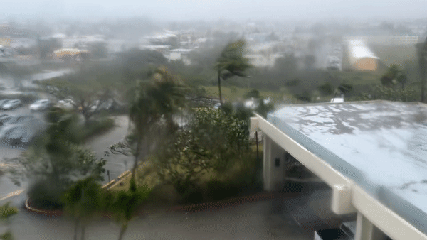 '슈퍼 태풍' 마와르가 괌을 휩쓸고 지나갔다. 하늘길이 막히면서 현지에는 한국인 관광객 수천 명의 발이 묶였다.〈영상=JTBC 제보 영상〉