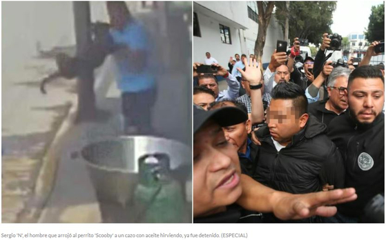 멕시코에서 한 남성이 기름 끓는 솥에 개를 넣어 죽이는 사건이 발생했다. 알고 보니 이 남성은 현직 경찰관이었던 것으로 드러났다. 〈사진=멕시코 현지 매체 엘시글로데토레온 홈페이지 캡처〉