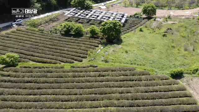 [박상욱의 기후 1.5] 농업을 지키는 도구, 스마트팜 전환의 마중물 '영농형 태양광'