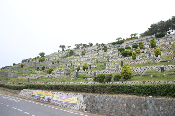 경남 김해시 한 공원묘원에서 플라스틱 조화가 사라진 모습. 〈사진=김해시〉