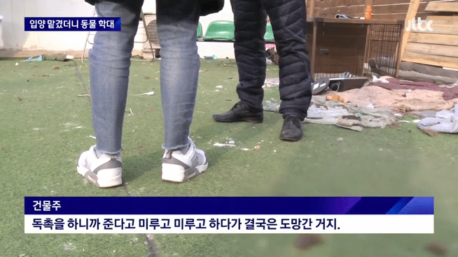             업주 잠적한 경기 광주시 신종 펫숍〈화면출처: JTBC 뉴스룸〉