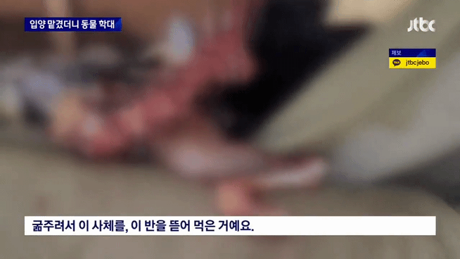              업주 잠적한 경기 광주시 신종 펫숍〈화면출처: JTBC 뉴스룸〉