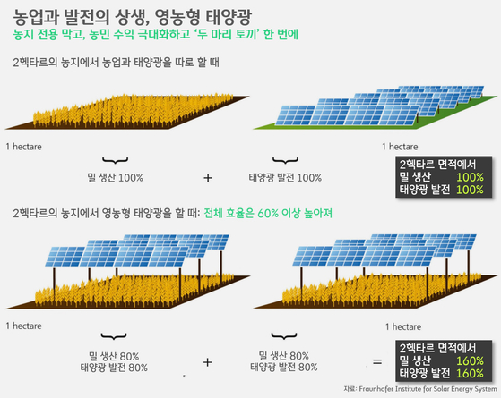 [박상욱의 기후 1.5] 농촌 고령화, 농지 감소 막는 영농형 태양광…기술보다 더 필요한 것은 '제도적 기반'