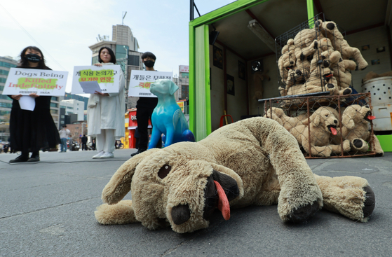 지난 3월 23일 국제 강아지의 날(National Puppy Day)을 맞아 동물권 단체 회원들이 불법 개 도살 및 거래 문제 해결을 위한 기자회견을 열고 있다. 〈사진=연합뉴스〉