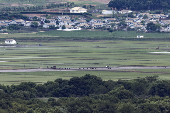 경기도 파주시 서부전선 비무장지대(DMZ) 도라전망대에서 바라본 북한 기정동 마을에서 주민들이 모내기하고 있다. 〈사진=연합뉴스〉