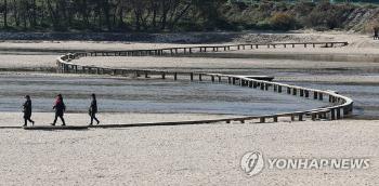 “경북 영주에 악어“ 신고…환경당국, 포획에 나서