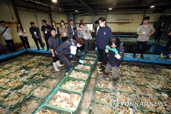 일본산 수산물 방사능 검사하는 식약처 직원들.〈사진=연합뉴스〉