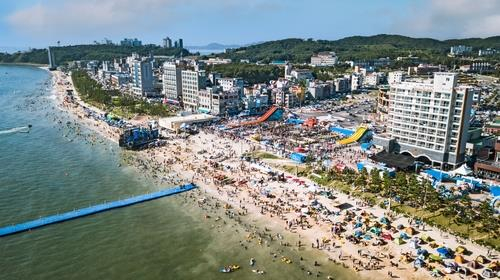 보령 대천해수욕장 〈사진=충남 보령시·연합뉴스〉