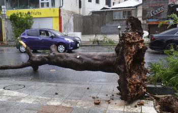 [영상] 태풍 '카눈' 덮친 일본 오키나와…60명 사상·16만가구 정전