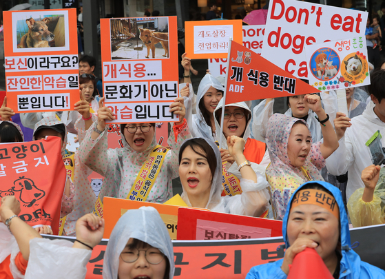 개식용을 놓고 사회적 합의기구가 제 역할을 하지 못하고 있는 가운데 육견협회와 동물보호단체간의 갈등이 커지고 있다 〈사진=연합뉴스〉 