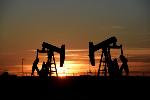 국제유가 연중 최고 기록…WTI 0.8% 오른 91.5달러