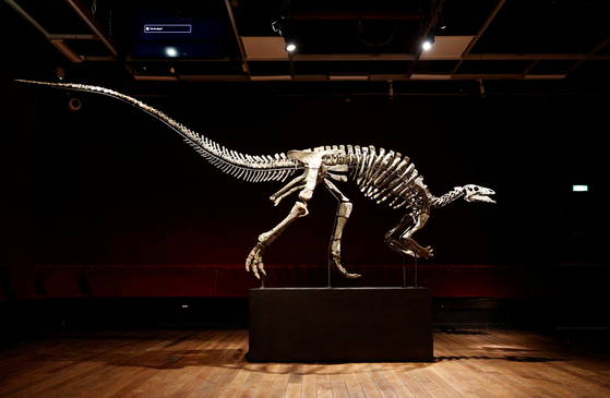 공룡 화석 '배리'. 높이 2.1m, 몸길이 5m에 이른다. 〈사진=로이터〉
