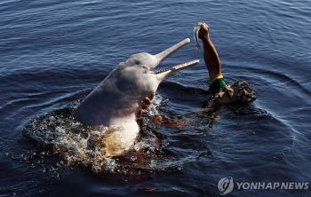 “아마존강돌고래 100마리 폐사…아마존 테페호수 수온 39도“