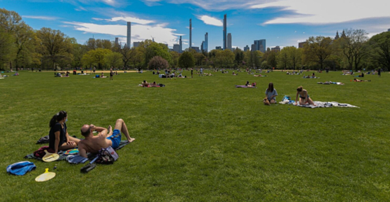 〈사진=nyc central park 홈페이지 캡처〉