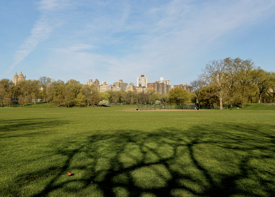 〈사진=nyc central park 홈페이지 캡처〉