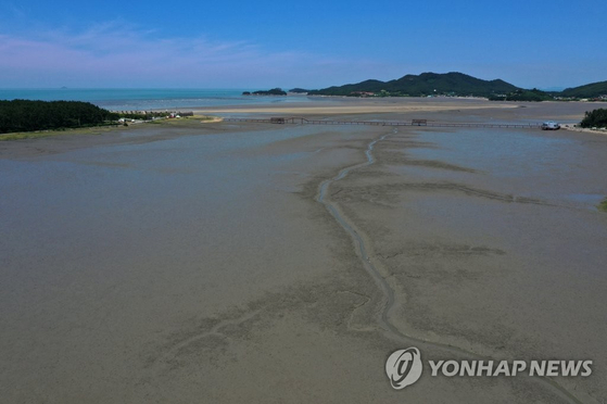 갯벌. 사진은 기사 내용과 관계 없음 〈사진=연합뉴스〉 