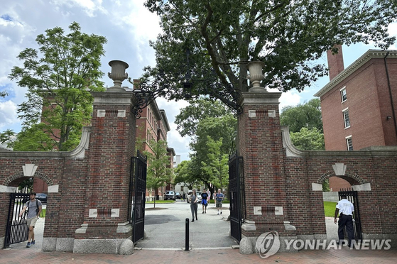 하버드대학교 캠퍼스 〈사진=연합뉴스〉