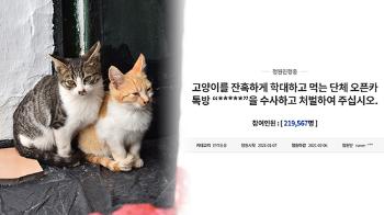 “길고양이 학살 쾌감 느낀다”…20대 항소심서 법정구속