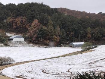 아침 춥고 구름 많다가 맑아져…낮 최고기온 20도