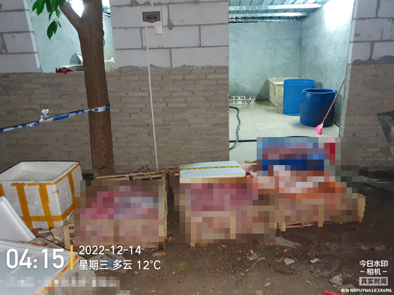 2022년 12월 14일, 중국 광둥성의 한 도축장에서 도살된 고양이들. 〈사진=더 페이퍼 웹사이트 캡처〉
