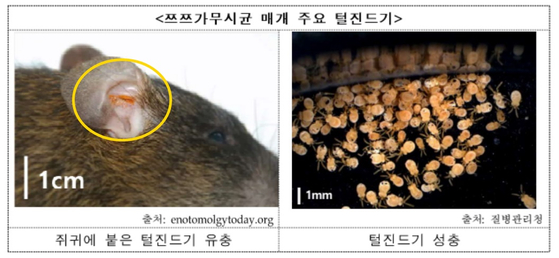 〈자료=질병관리청 제공〉