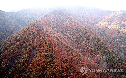 완연한 가을 날씨를 보인 지난 27일 충북 괴산 인근의 야산이 단풍으로 물들고 있다. 〈사진=연합뉴스〉