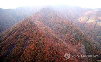 오늘·내일 나들이 떠나기 좋은 맑은 날씨...일교차는 커