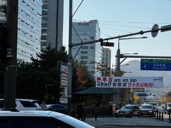 [르포+] 비방·혐오 정당현수막 사라졌나…금지 조례 만든 송파구 가보니