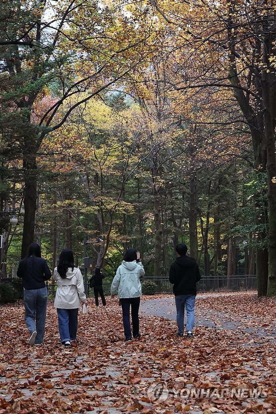 가을 산책 〈사진=연합뉴스〉