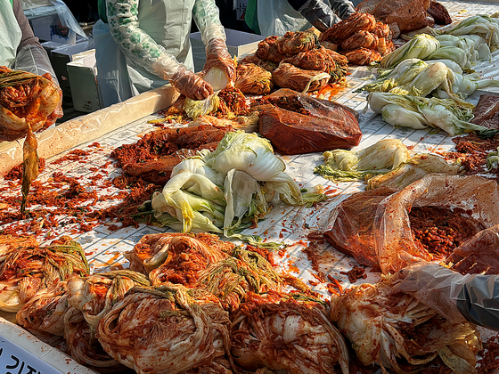 맛있게 담가지고 있는 김장 김치. 〈사진=김휘란 기자〉