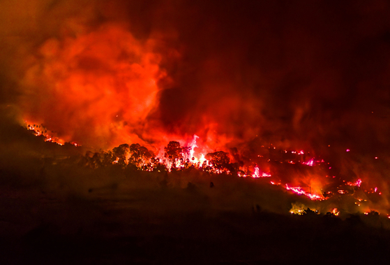 브라질 산불. 〈사진=EPA/연합뉴스〉