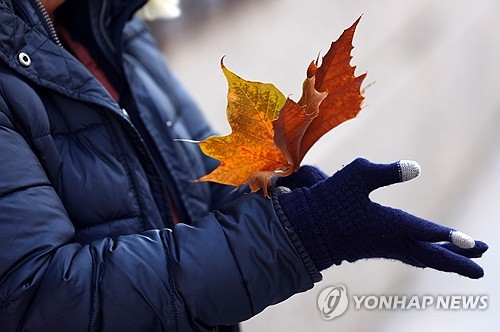 낙엽을 든 장갑 낀 손 〈사진=연합뉴스〉