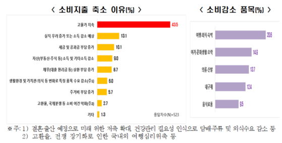 내년 소비 지출 축소 이유와 소비를 감소할 품목 (출처=한국경제인협회)