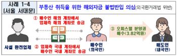 '환치기' 부동산 매입…외국인 위법의심거래 272건 적발  