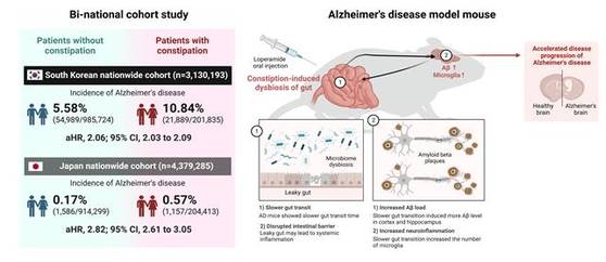 '저널 오브 어드밴스드 리서치'에 실린 'Slow gut transit increases the risk of Alzheimer's disease: an integrated study of the bi-national cohort in South Korea and Japan and Alzheimer's disease model mice' 논문 자료 일부. 〈자료=저널 오브 어드밴스드 리서치 홈페이지〉