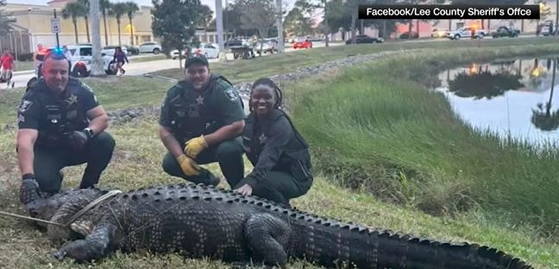 〈출처=페이스북 Lee County Sheriff's Office/CNN〉