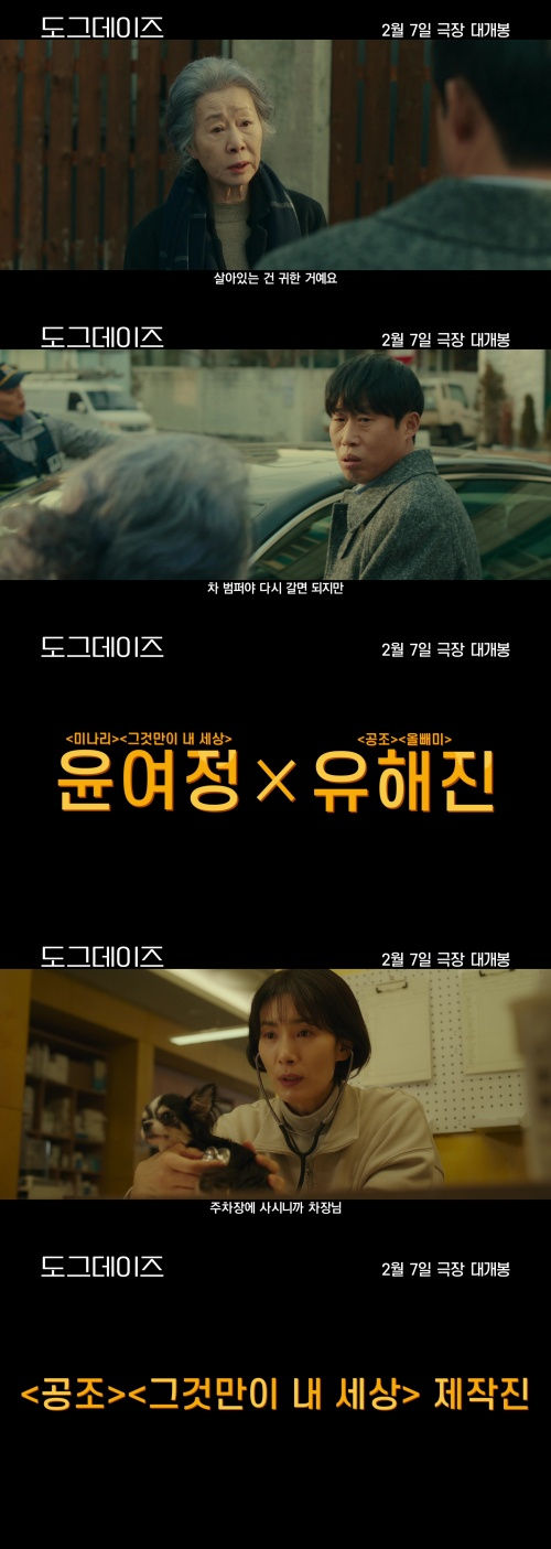 윤여정·유해진 '도그데이즈' 2월 7일 개봉…기대만발 투샷