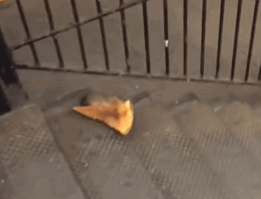 2015년 뉴욕의 한 지하철 계단에서 쥐가 자신의 몸보다 큰 피자 조각을 물고 이동하는 장면이 담긴 이른바 '피자 쥐' 영상.〈영상=유튜브 캡처〉