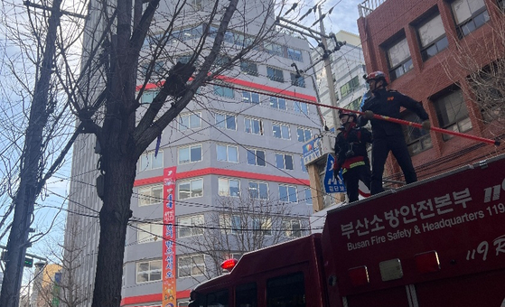 가로수에 걸린 슬레이트 조각 걷어내는 119 대원 [부산소방재난본부 제공]