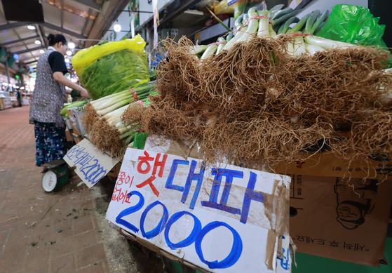 파뿌리는 음식물 쓰레기가 아닌 일반 쓰레기로 버려야 한다. 〈사진=연합뉴스〉