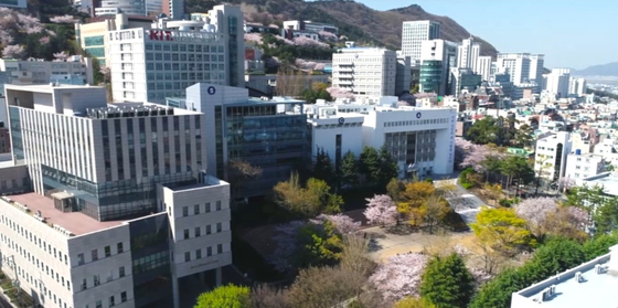 부산시 사상구 경남정보대 전경