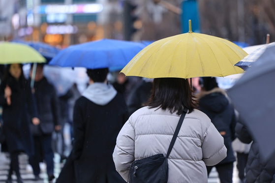 우산을 쓴 시민들이 횡단보도를 건너고 있다. 〈사진=연합뉴스〉