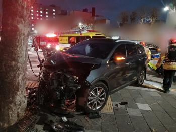 아빠 차로 가로수 박고 줄행랑 친 20대 운전자…“소주 반 병 마셨다“